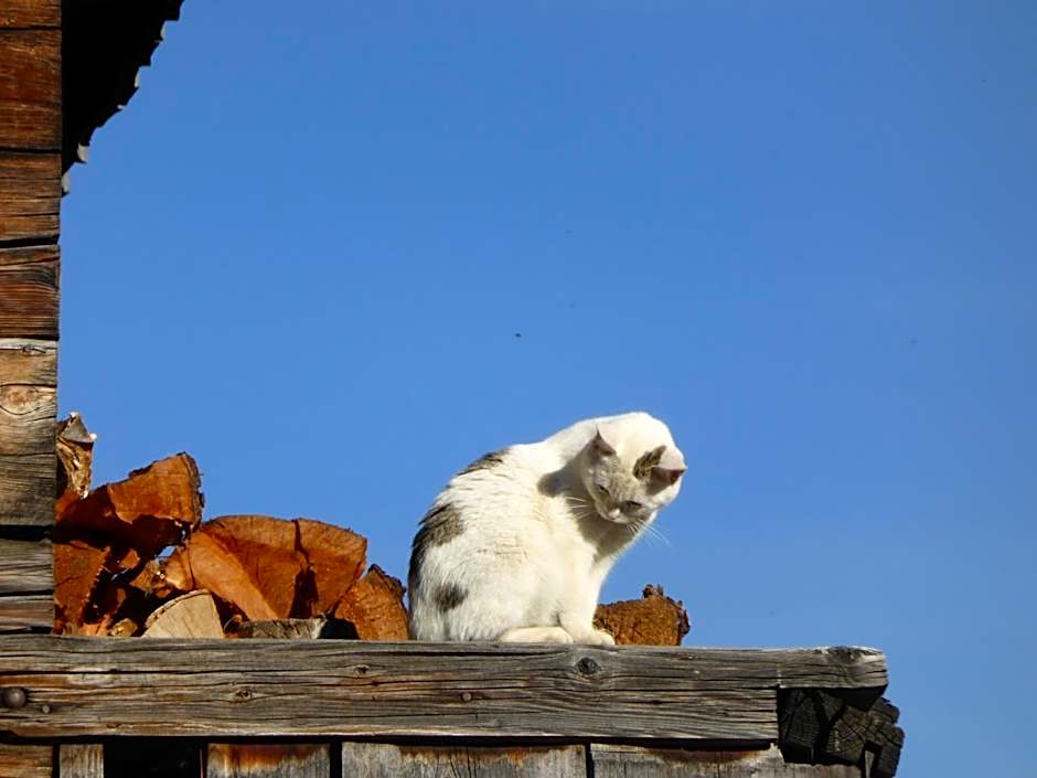 Hotel Gasthof Islitzer