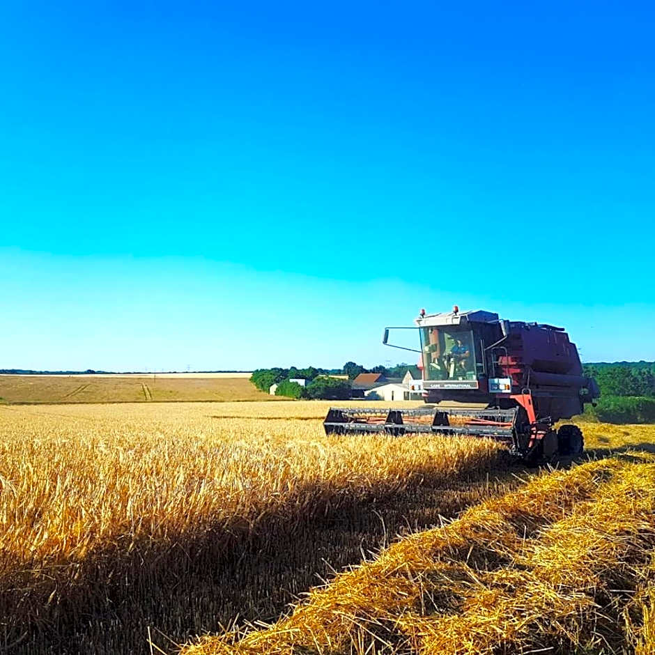 Fonsegre Chambres d'Hôtes