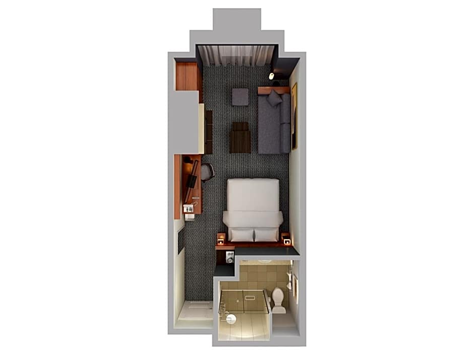 Photo 1 of 5 of Studio 1 King Bed with Sofabed