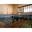 Hotel Pony Onsen