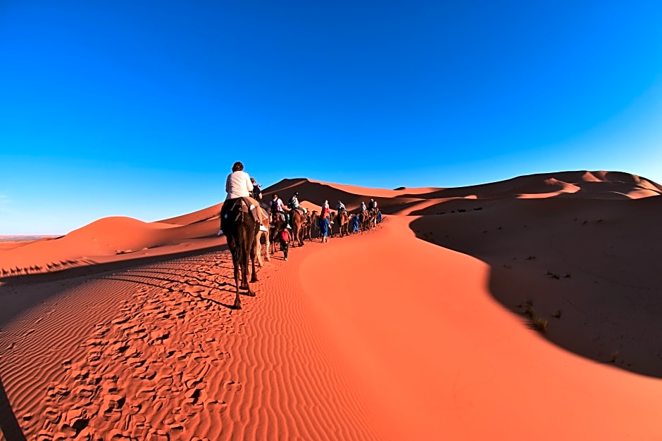 Palmeras y Dunas