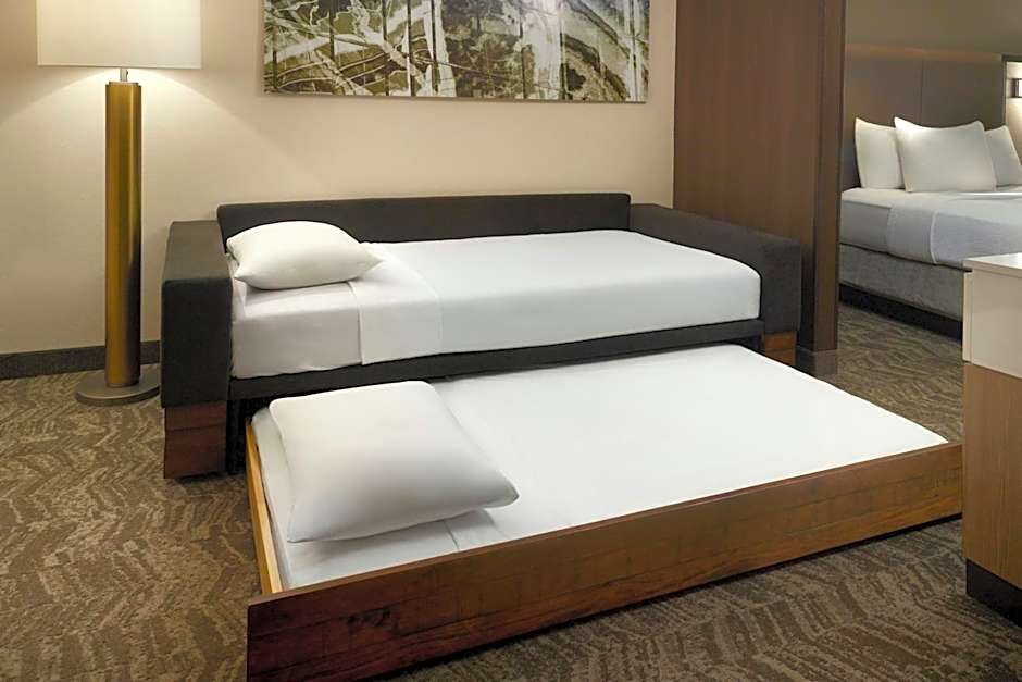 SpringHill Suites by Marriott Atlanta Six Flags