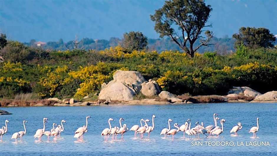 Li Teggi Turismo Rurale