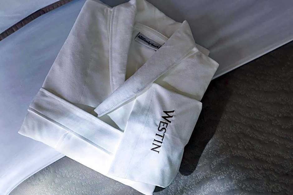 The Westin Detroit Metropolitan Airport