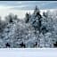 HH 207 Ski-InOut Sunrise Views Village Steps Sleeps 4