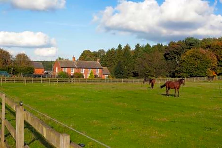 Clumber Lane End Farm