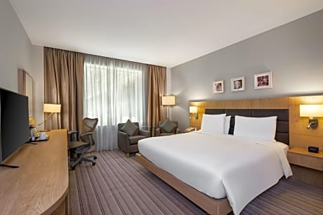 KING ACCESSIBLE ROOM WHEELCHAIR ACCESSIBLE ROOM W/ ROLL-IN SHOWER 29SQM/COFFEE-TEA FACILITIES/COMP WIFI/SAFE