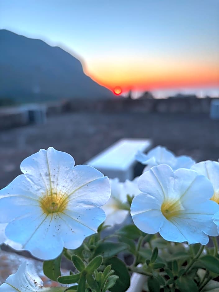 Bed And Breakfast Turi