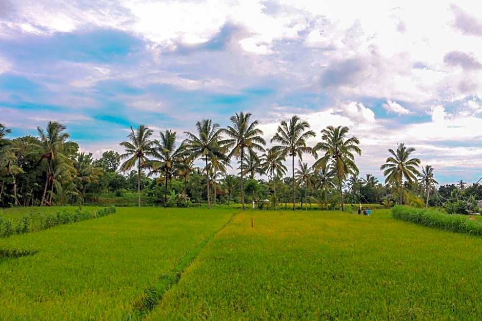 Pondok rinjani bungalow tetebatu
