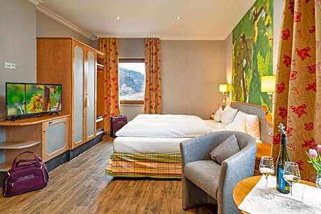 Superior Double Room with Rhine River View