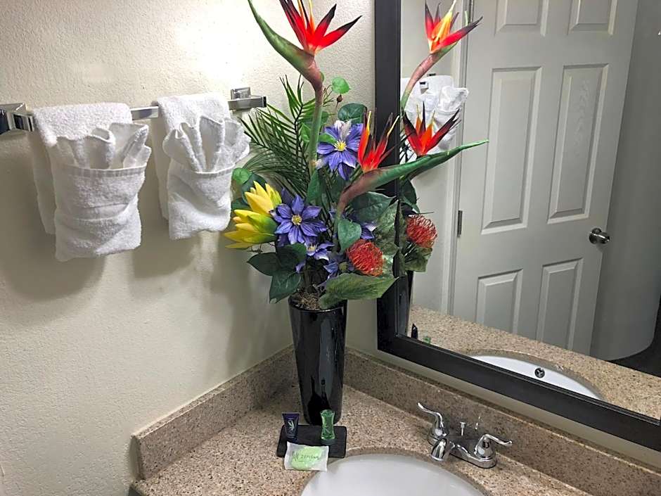 Magnolia Inn Extended Stay of Kingsland - New 2024 - Book a Kitchen Room - 12 Noon Check Out - Sleep In Late - Better Sleep - Ultra Sparkling - Pool open until until 4AM - Stay and Save Today - 24 Hour Front Desk - Premium Coffee Bar - Award Winning Inn