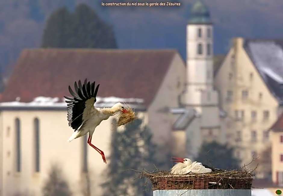 Domaine de Mont-Renaud