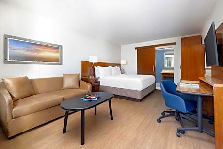 Deluxe King Studio with Sofa Bed