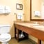 Comfort Suites Normal University area