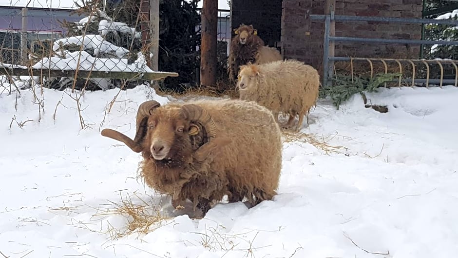Zimmervermietung Zahn