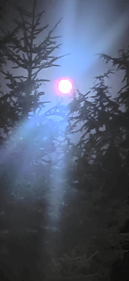 B&b il campanile di leone Pina