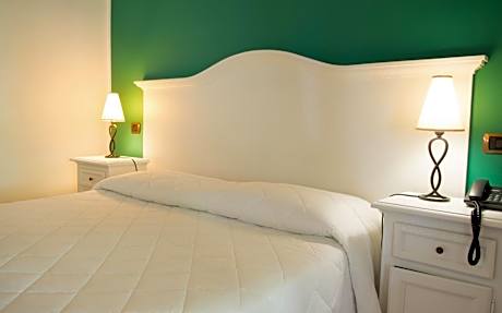 Comfort Double Room with Garden View