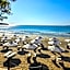 Olive Villas Beach Hotel