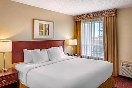 1 King Bed, Suite, Nonsmoking