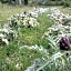 B & B CUORE TOSCANO