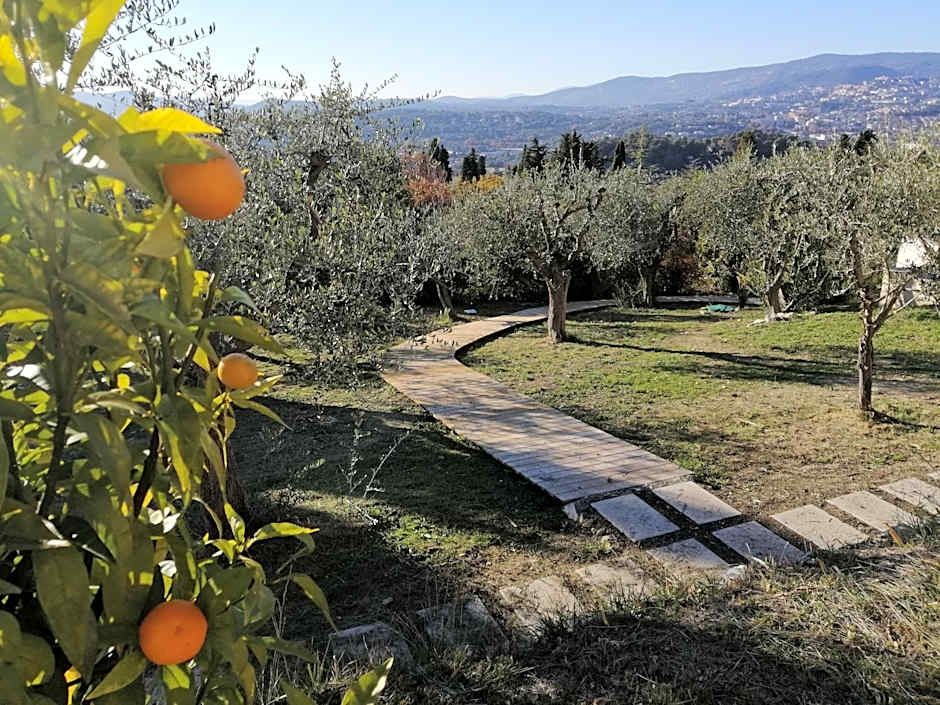 Les lodges de l'oliveraie de Virevent