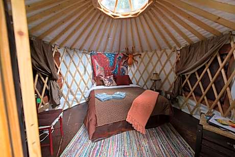 Queen Yurt at Yurt Village with Shared Bathroom