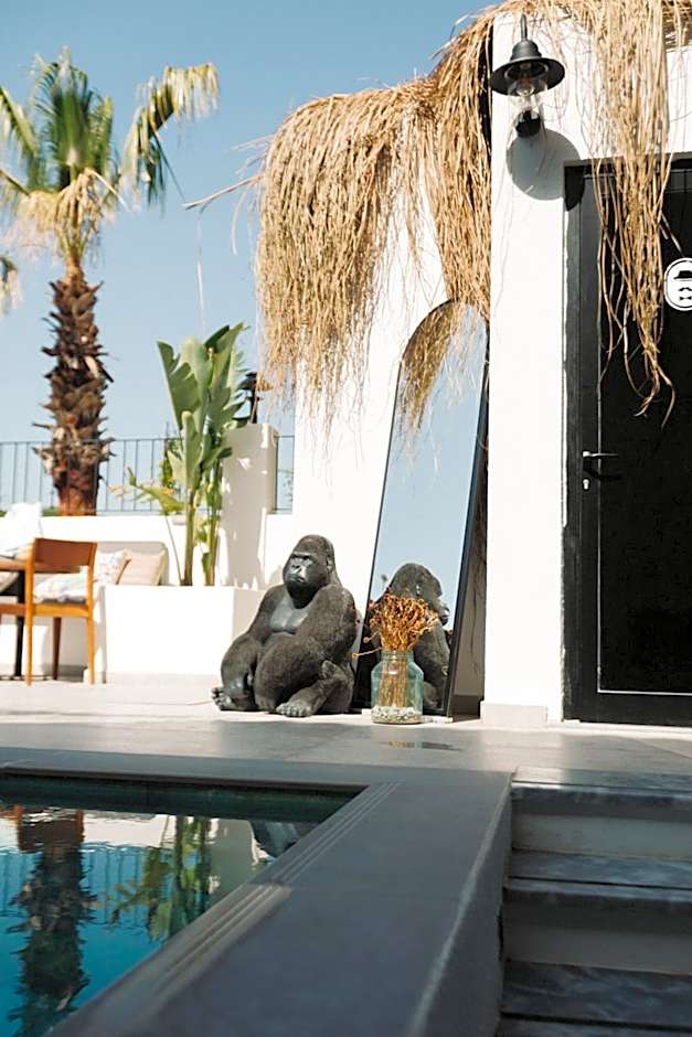 Primus Otel