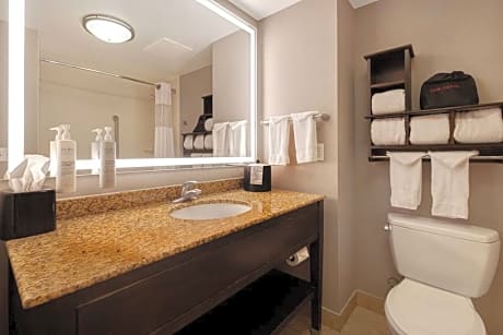 1 King Bed Study W/Sofabed Nonsmoking