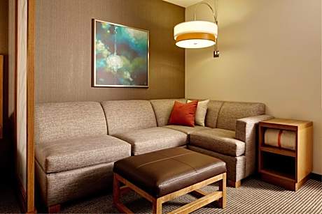 King Room with Sofa Bed and Roll-in Shower - High Floor/Disability Access