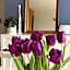 i-LOLLO Bed & Breakfast at the River Mouth