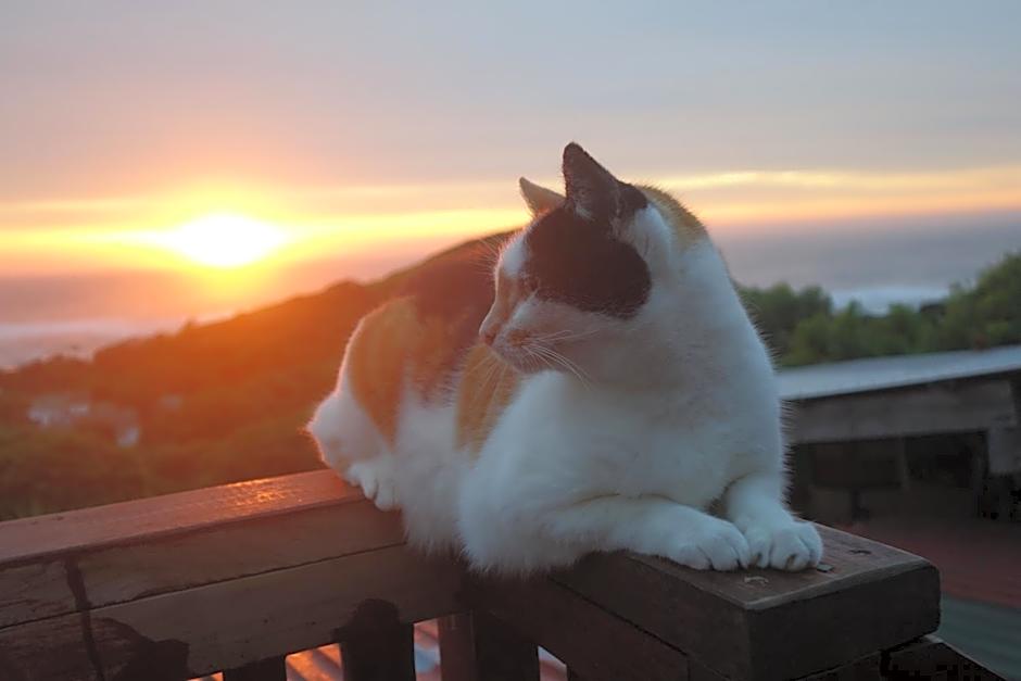 Eagles Nest hostel plus self catering private units