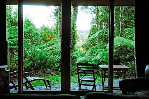 Treetops Lodge & Estate