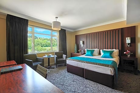 Deluxe Double or Twin Room with Park View