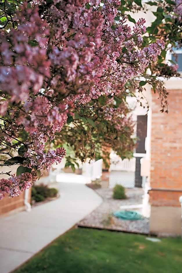 Goldsmith's River Front Inn