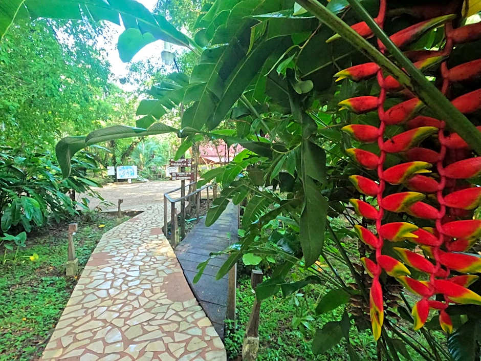 Cabañas Kin Balam Palenque