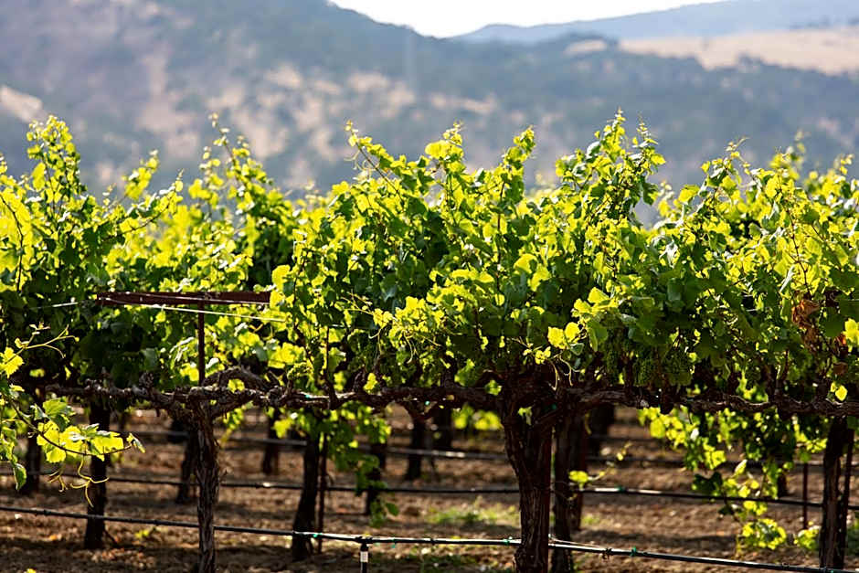 Homewood Suites by Hilton Fairfield-Napa Valley Area