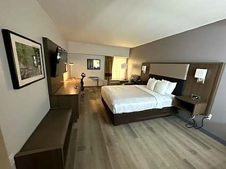 King Room - Non-Smoking