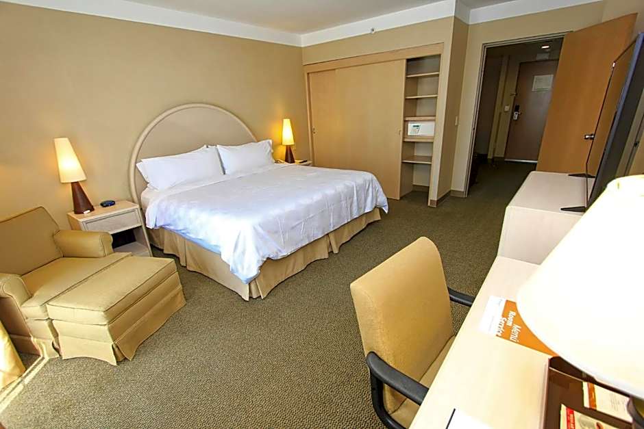 Holiday Inn Leon - Poliforum by IHG