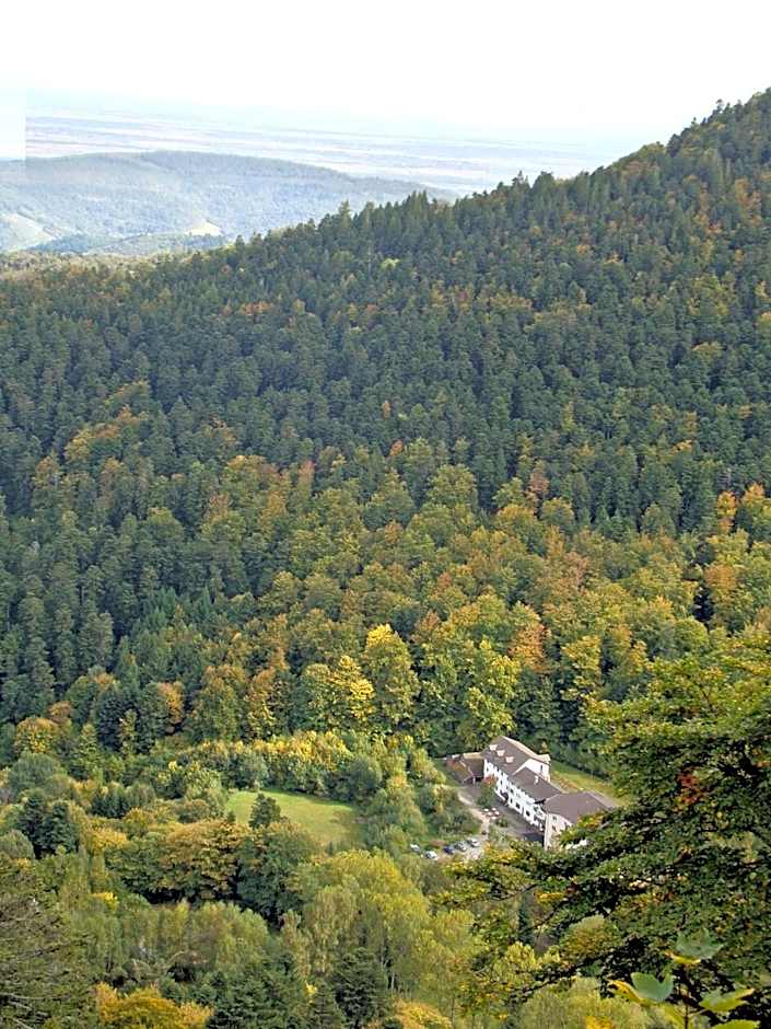 Hotel-Spa & Restaurant Logis Domaine Langmatt