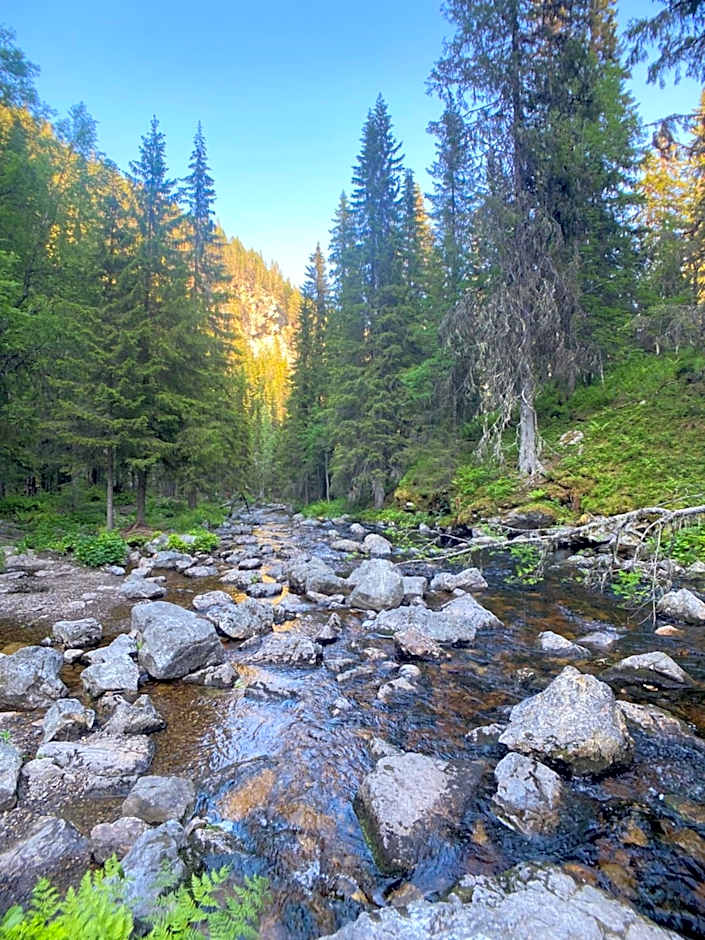 Sonfjällsgårdens Wärdshus & Hotell