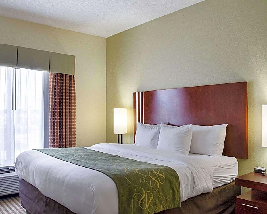 Photo 1 of 5 of 1 King Bed Suite