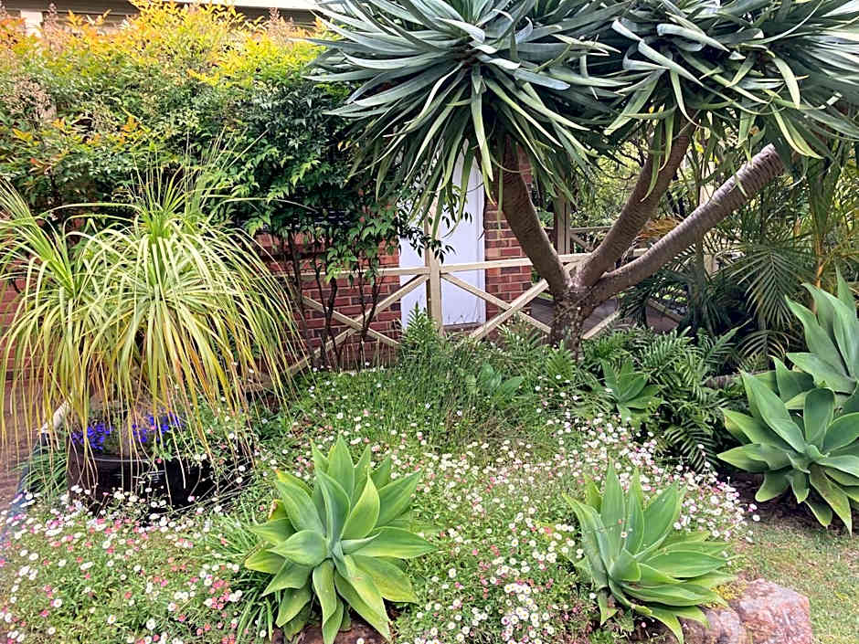 Edge Of The Forest Motel