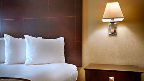 1 King Bed Non-Smoking