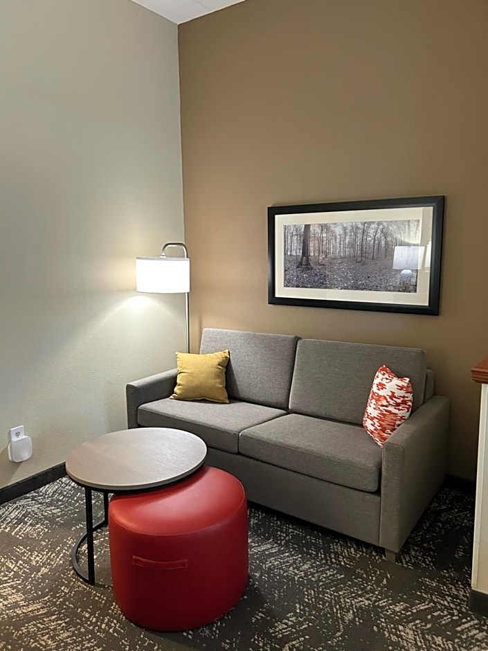 Comfort Suites Columbia at Harbison