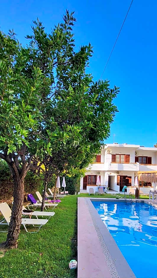 Tree of Life Art Hotel