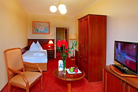 Superior Single Room with Wellness and Fitness Access