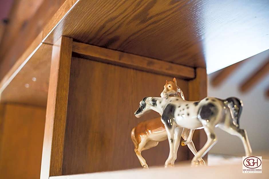 San Giacomo Horses & Agriturismo
