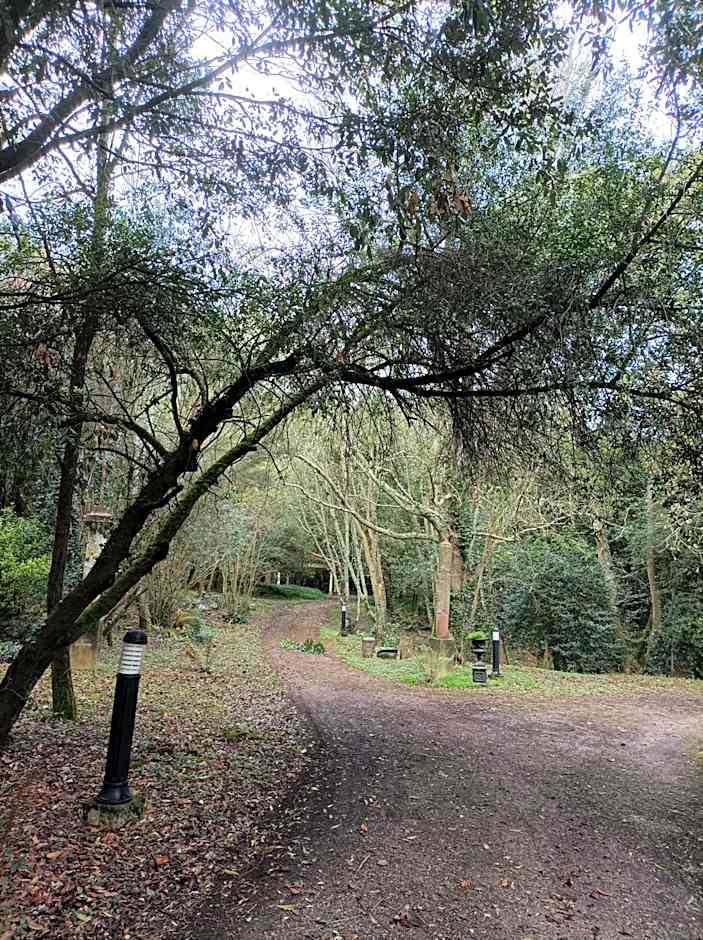 San Román de Escalante