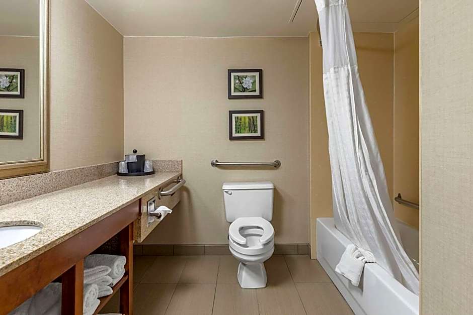 Comfort Inn Lansing West