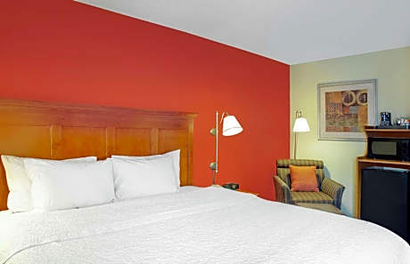 King Room with King Bed - Non-Smoking